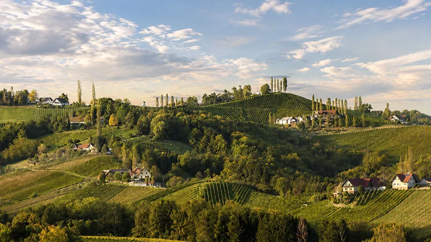 Südsteirische Weinstraße mit Weinbergen, Zypressen und Winzerhöfen bei Leibnitz